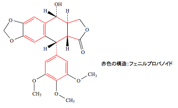 解説画像